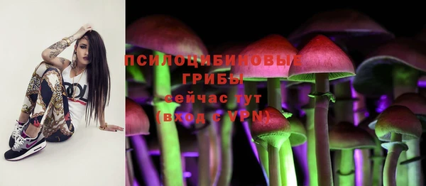 MESCALINE Гусь-Хрустальный