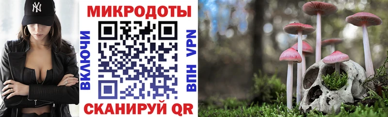 Псилоцибиновые грибы Cubensis  ОМГ ОМГ зеркало  Оха 